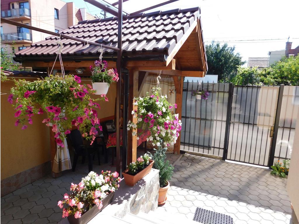 Garsoniera Strada Bucegi Lägenhet Sibiu Exteriör bild